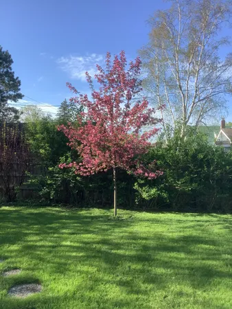 $279,000 | 918 Northwest 3rd Avenue, Grand Rapids, MN 55744