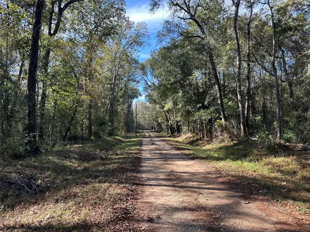 a view of yard with tree