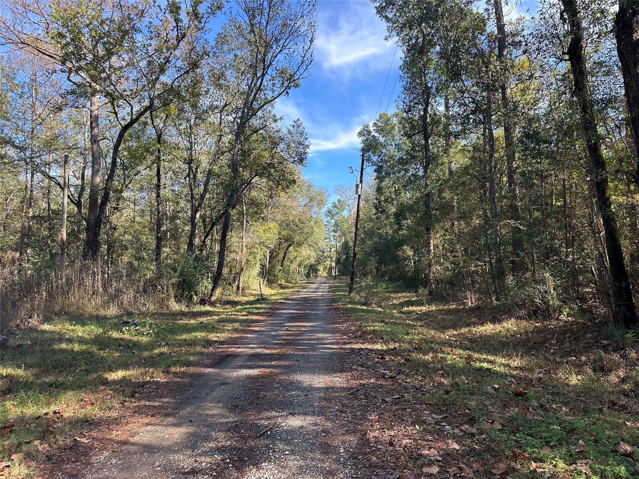 0 County Road 3612 Splendora, TX 77372 - Photo 6 of 7 a view of outdoor space with trees