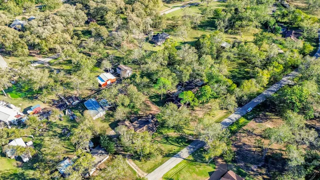 a close up of a flower