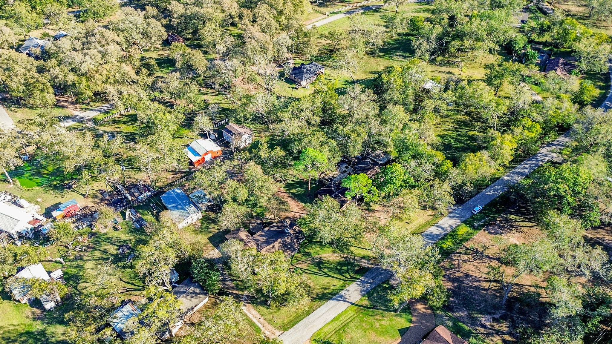 720 Surrey Drive Simonton, TX 77485 - Photo 32 of 34 a close up of a flower