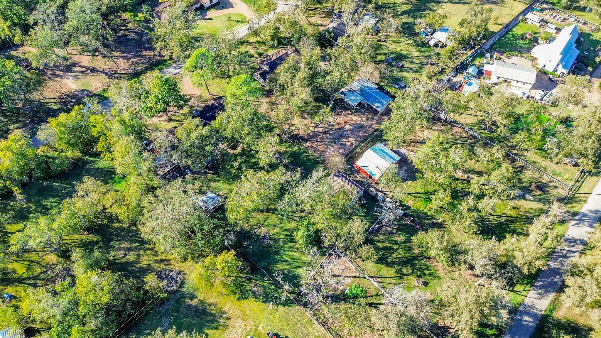 720 Surrey Drive Simonton, TX 77485 - Photo 33 of 34 a close up of a plant