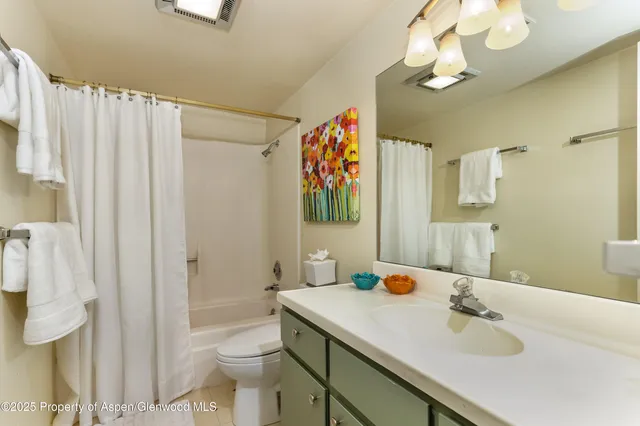 a bathroom with a sink a toilet and shower curtain
