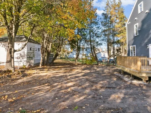 a view of road with large trees