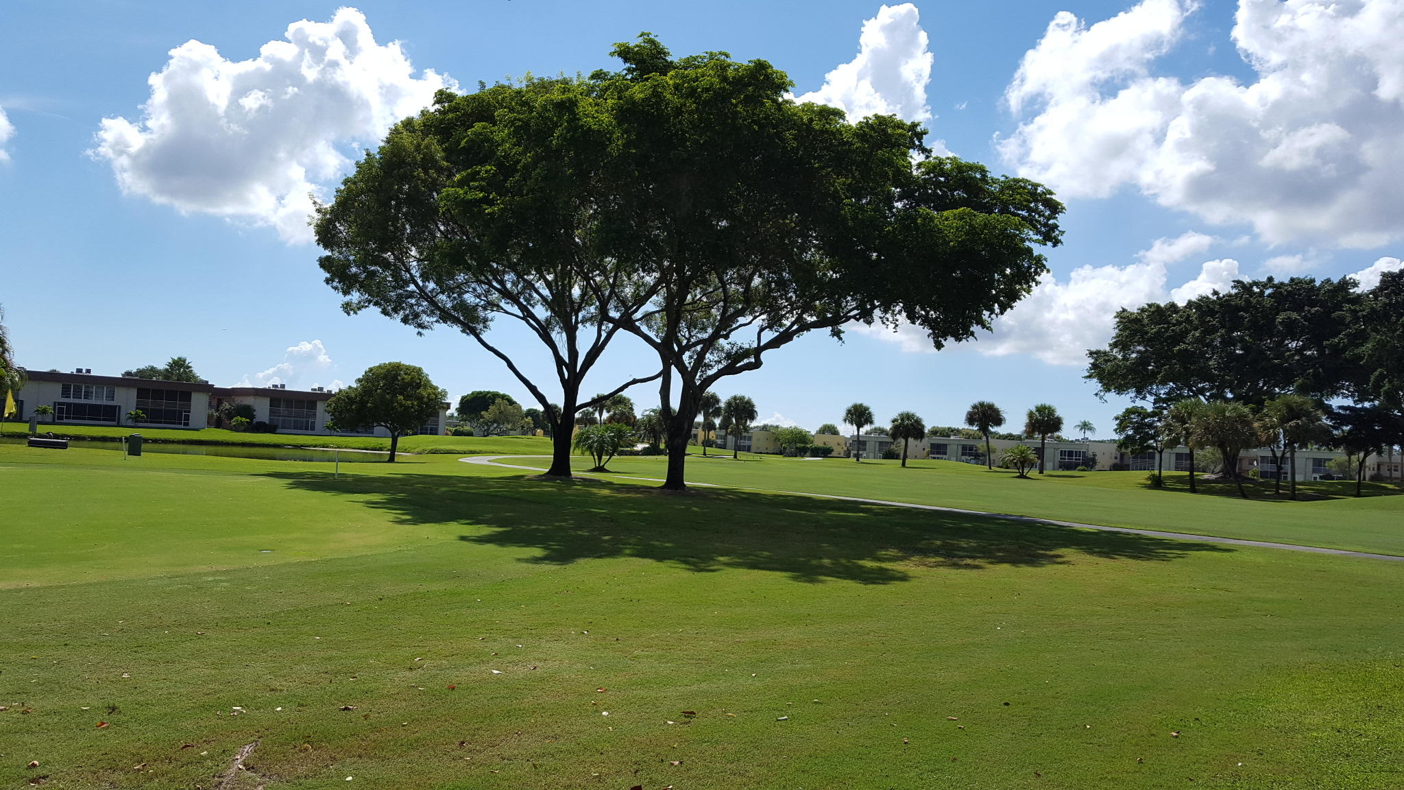 554 Normandy Lane Delray Beach, FL 33484 - Photo 17 of 19 20160916_105710