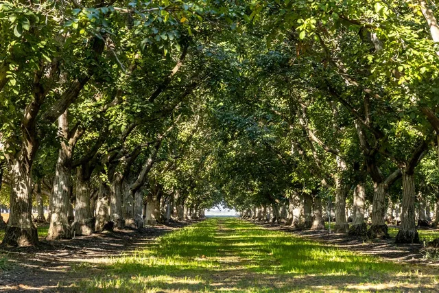 a view of lawn chairs and yard