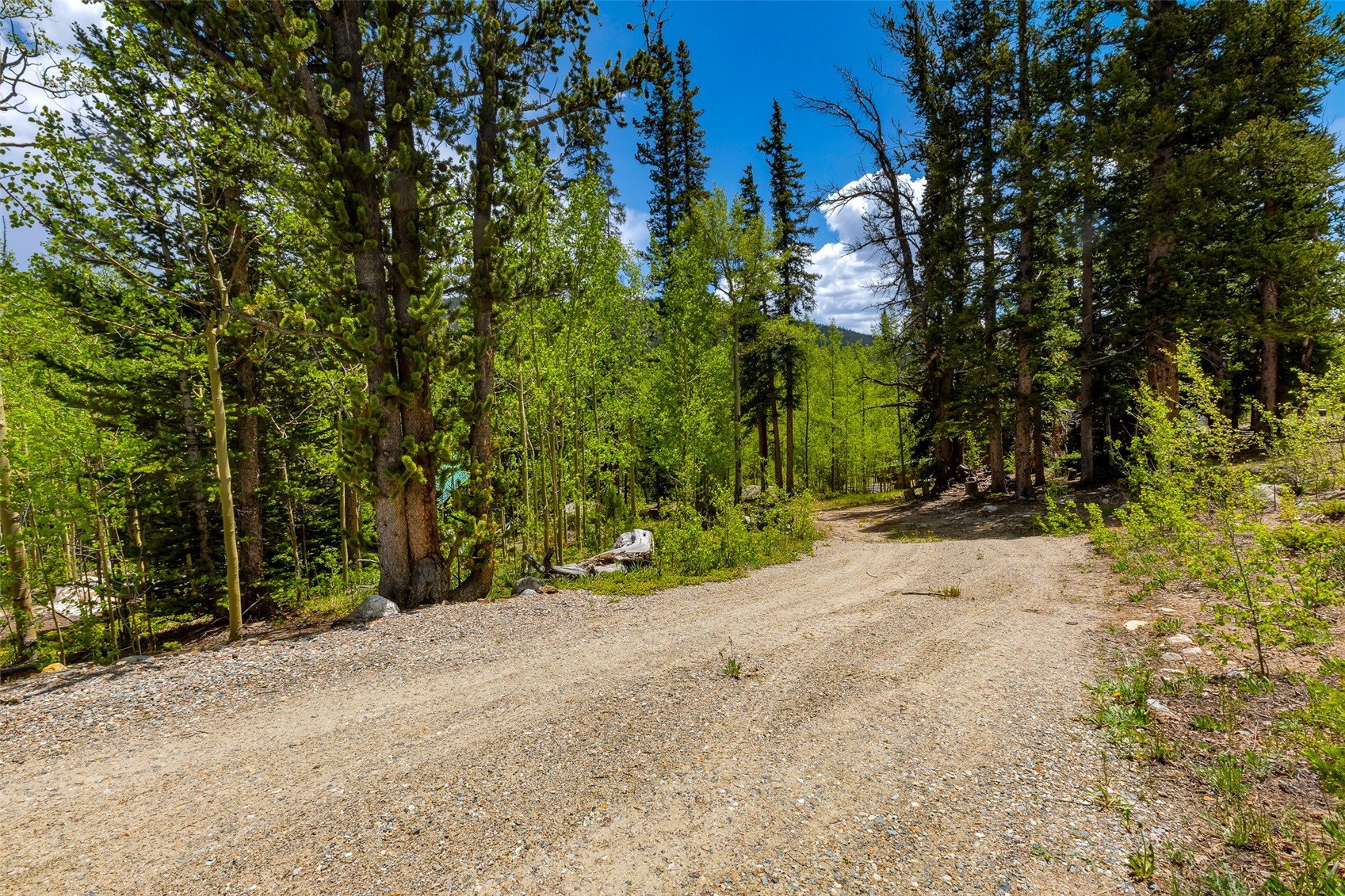 522 Quartzville Road Alma, CO 80420 - Photo 5 of 46 a view of a house with a street