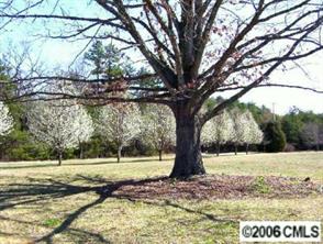 300 Prospect Road Statesville, NC 28625 - Photo 3 of 8 Gallery Image 3