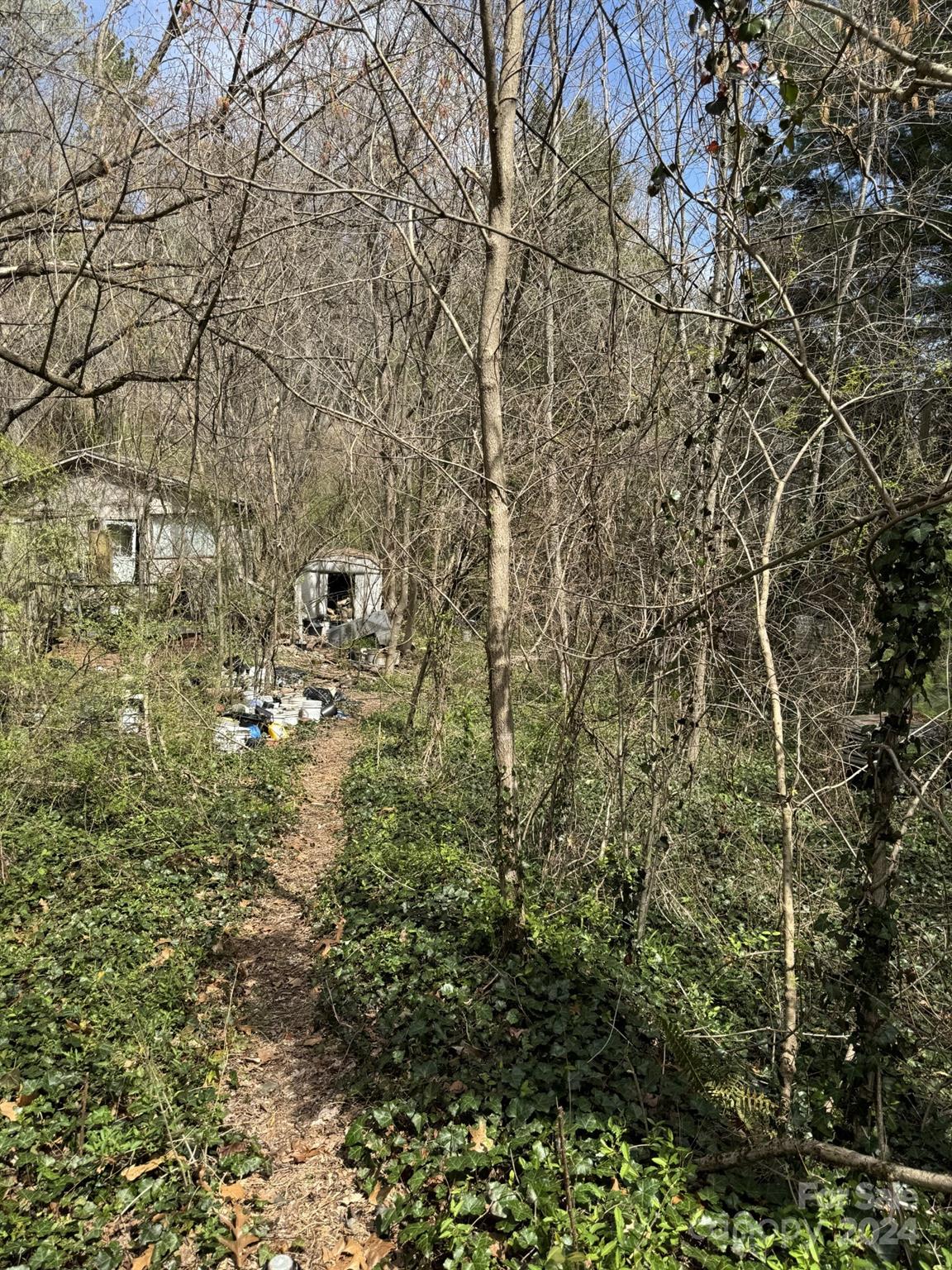 a view of a yard with a tree