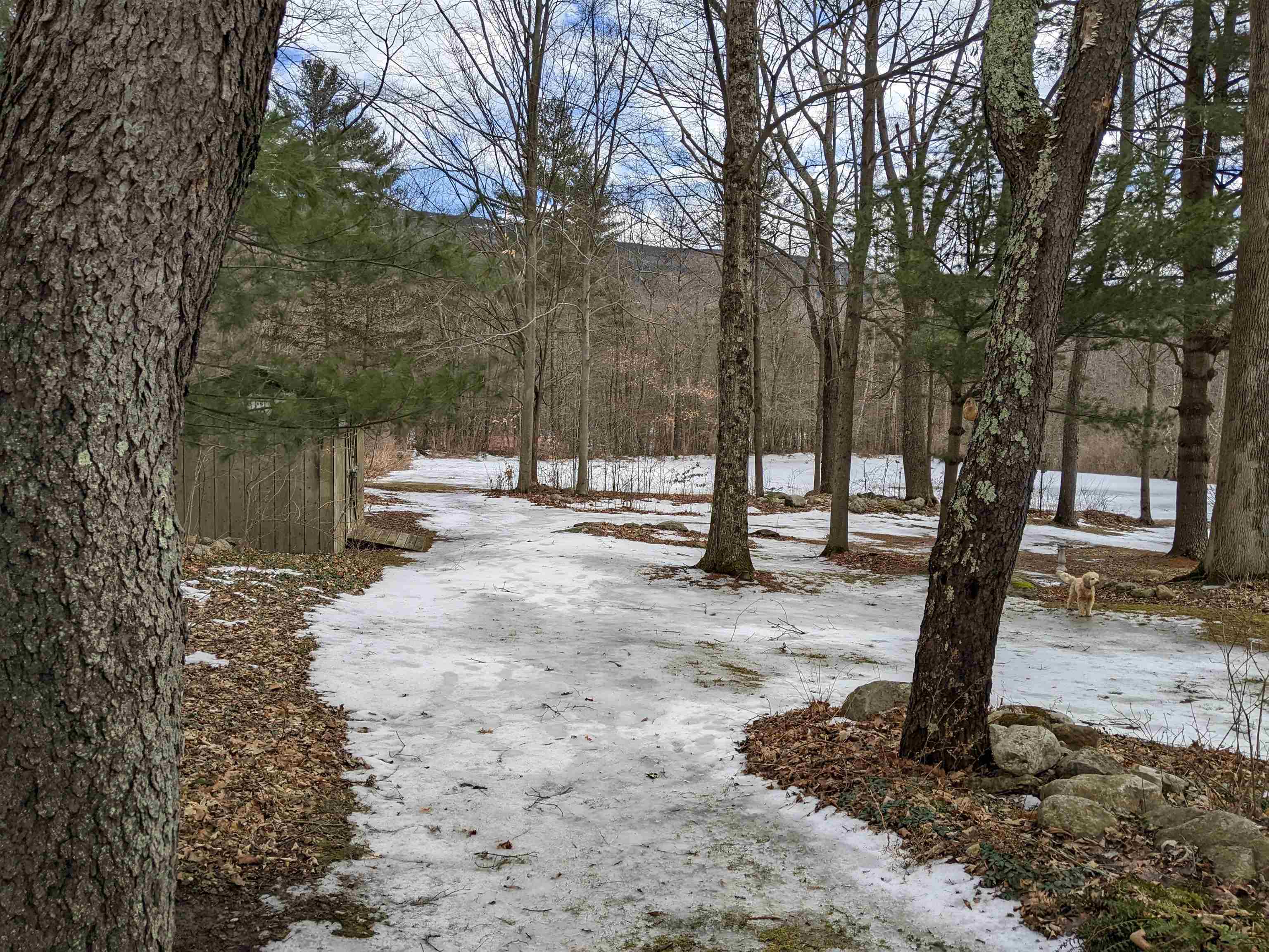1769 East Road Bennington, VT 05201 - Photo 29 of 39