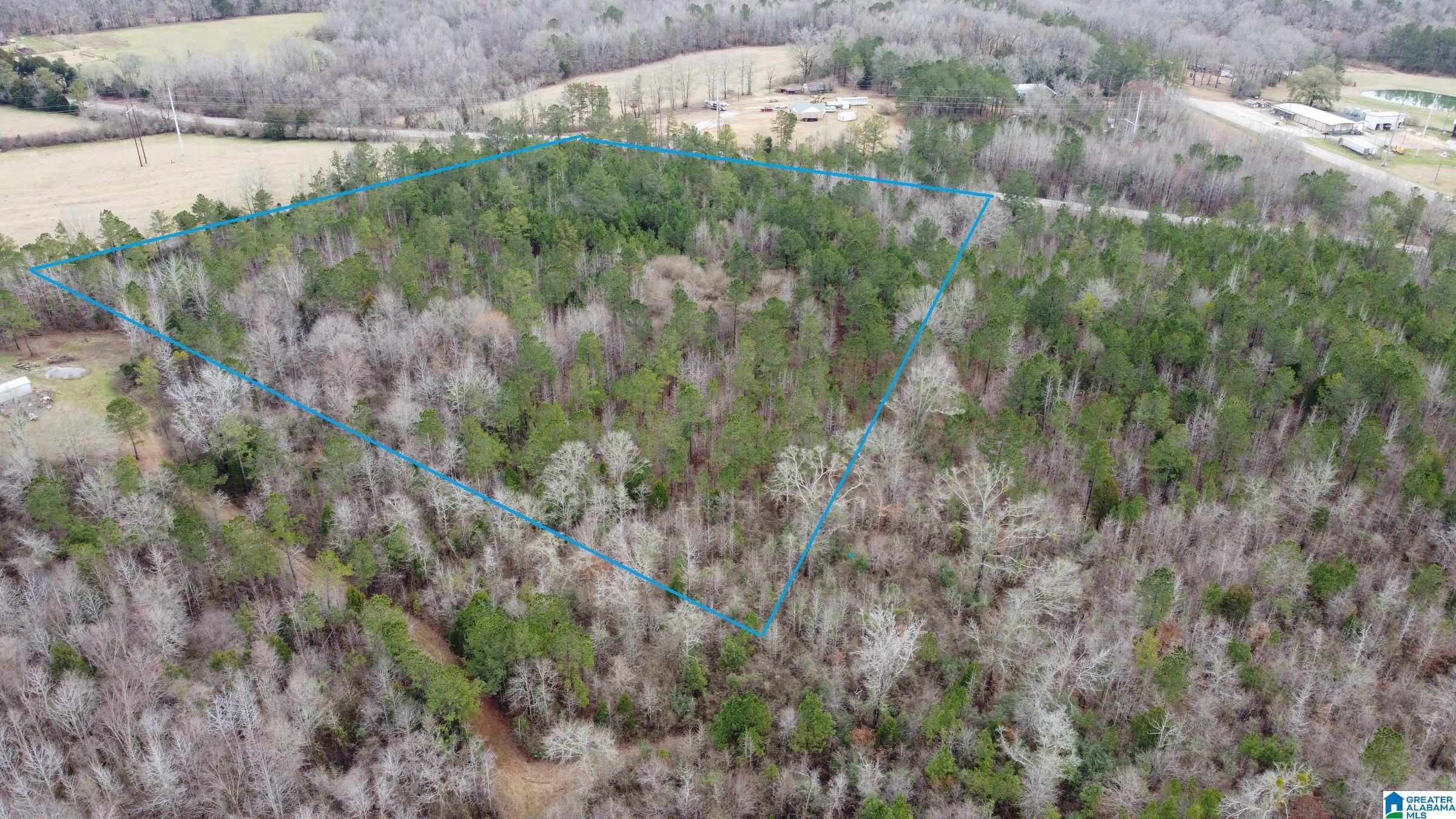 0 County Road 511, Unit 1 Verbena, AL 36091 - Photo 7 of 10