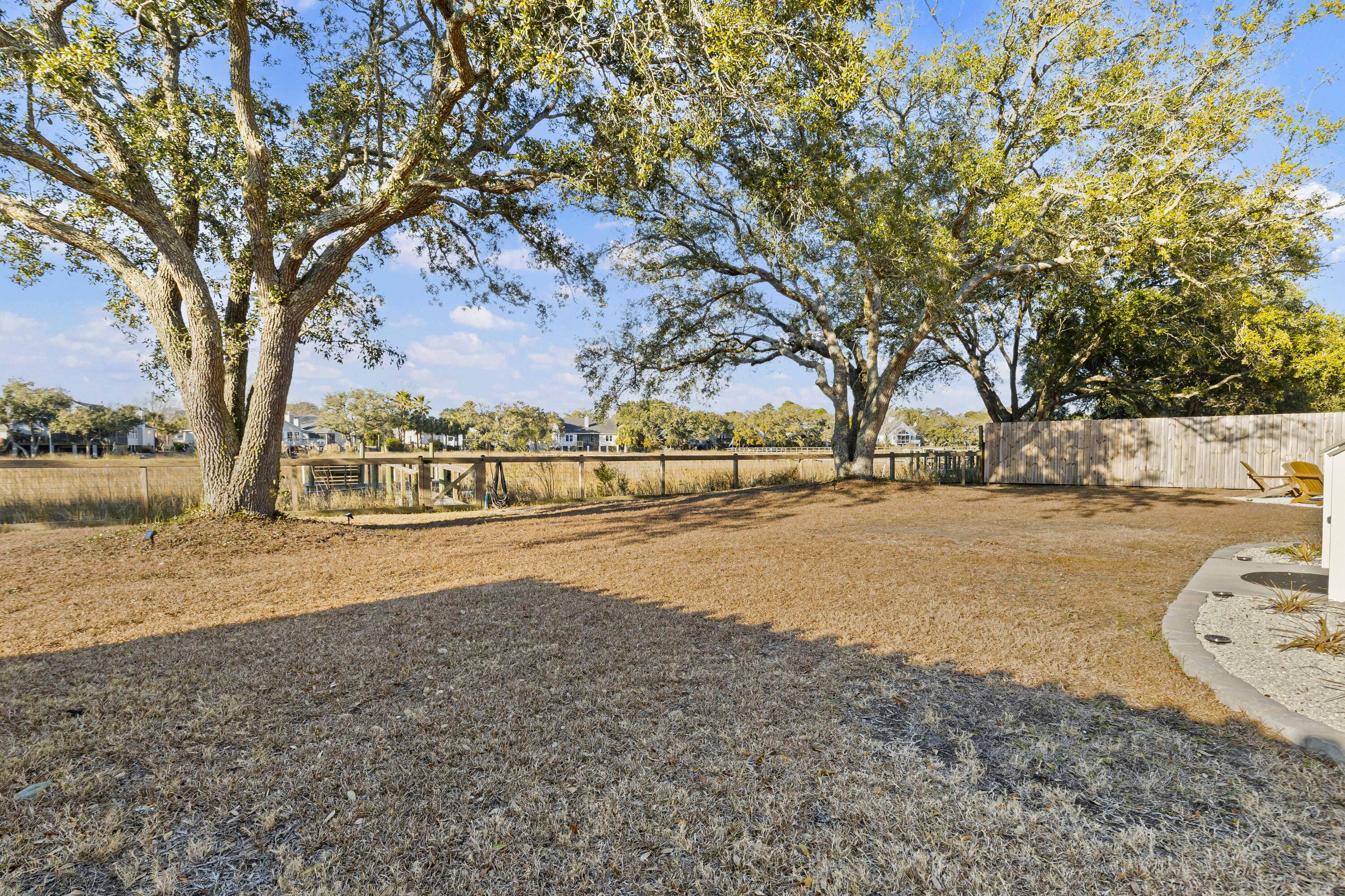 1318 Battle Ground Road Charleston, SC 29412 - Photo 44 of 57 Back yard view
