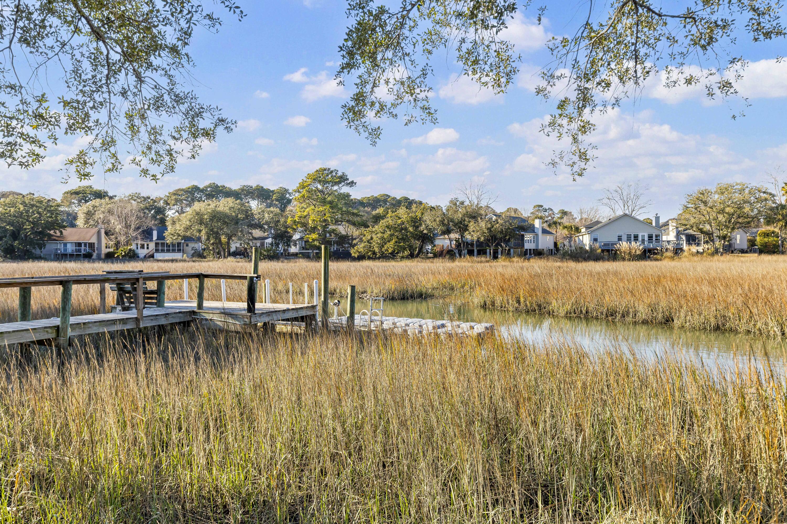 1318 Battle Ground Road Charleston, SC 29412 - Photo 45 of 57 Back yard view of dock
