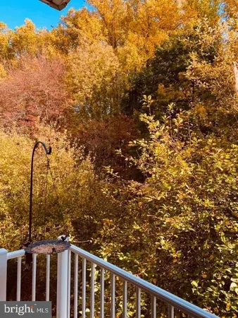 a view of a yard with iron fence