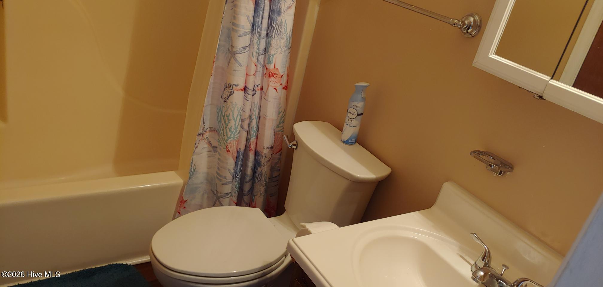 9201 Coast Guard Road, Unit F302 Emerald Isle, NC 28594 - Photo 19 of 22 Bathroom