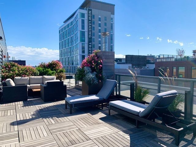 a view of a patio with couches and a potted plant
