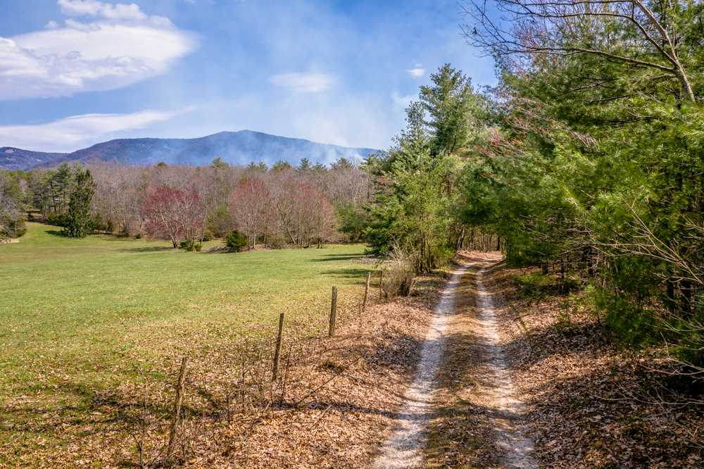 Tbd Pond Field Lane Raphine, VA 24472 - Photo 14 of 14 Gallery Image 14