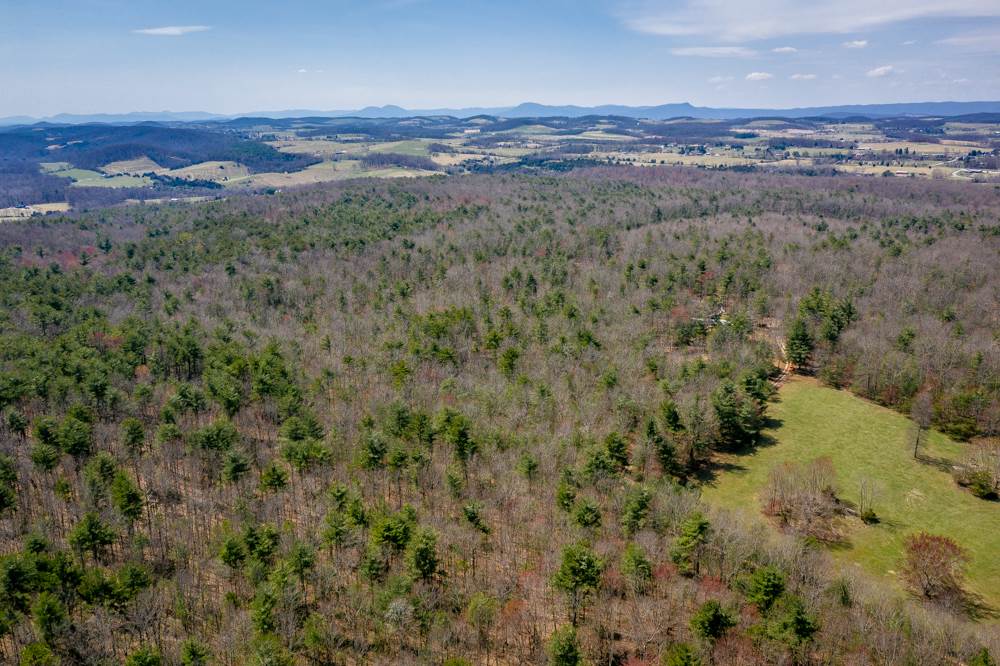 Tbd Pond Field Lane Raphine, VA 24472 - Photo 3 of 14 Gallery Image 3