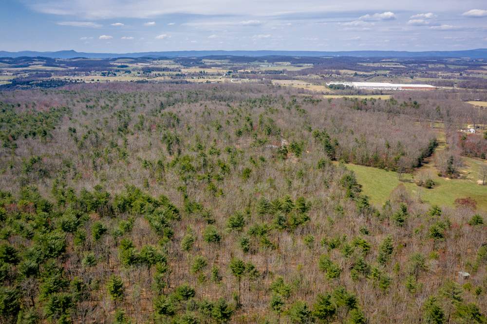 Tbd Pond Field Lane Raphine, VA 24472 - Photo 4 of 14 Gallery Image 4