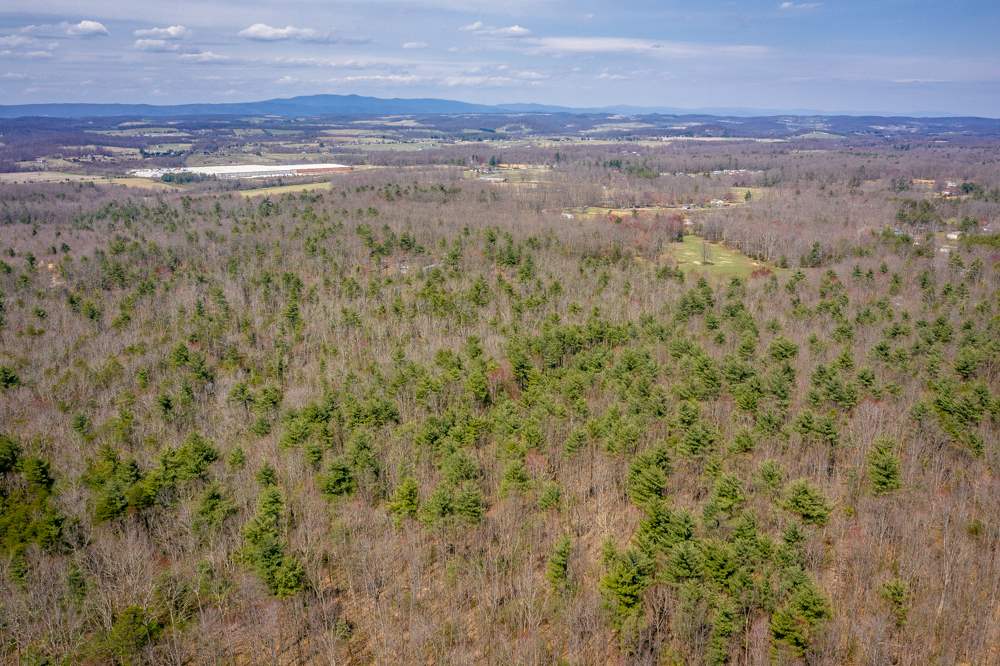 Tbd Pond Field Lane Raphine, VA 24472 - Photo 5 of 14 Gallery Image 5
