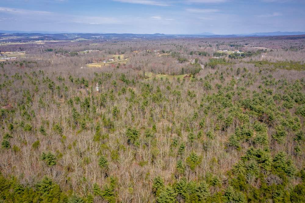 Tbd Pond Field Lane Raphine, VA 24472 - Photo 6 of 14 Gallery Image 6