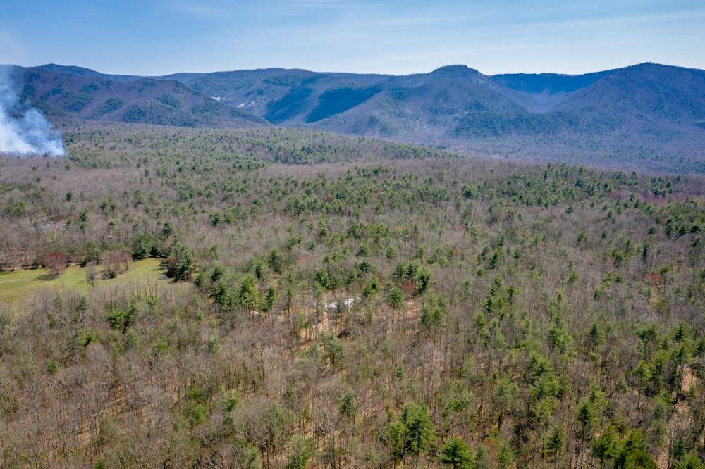 Tbd Pond Field Lane Raphine, VA 24472 - Photo 10 of 14 Gallery Image 10