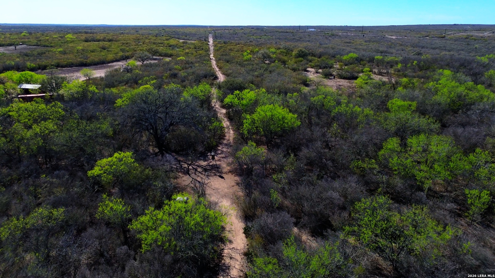 128 Salyer George George West, TX 78022 - Photo 10 of 18 a view of a bunch of trees and bushes