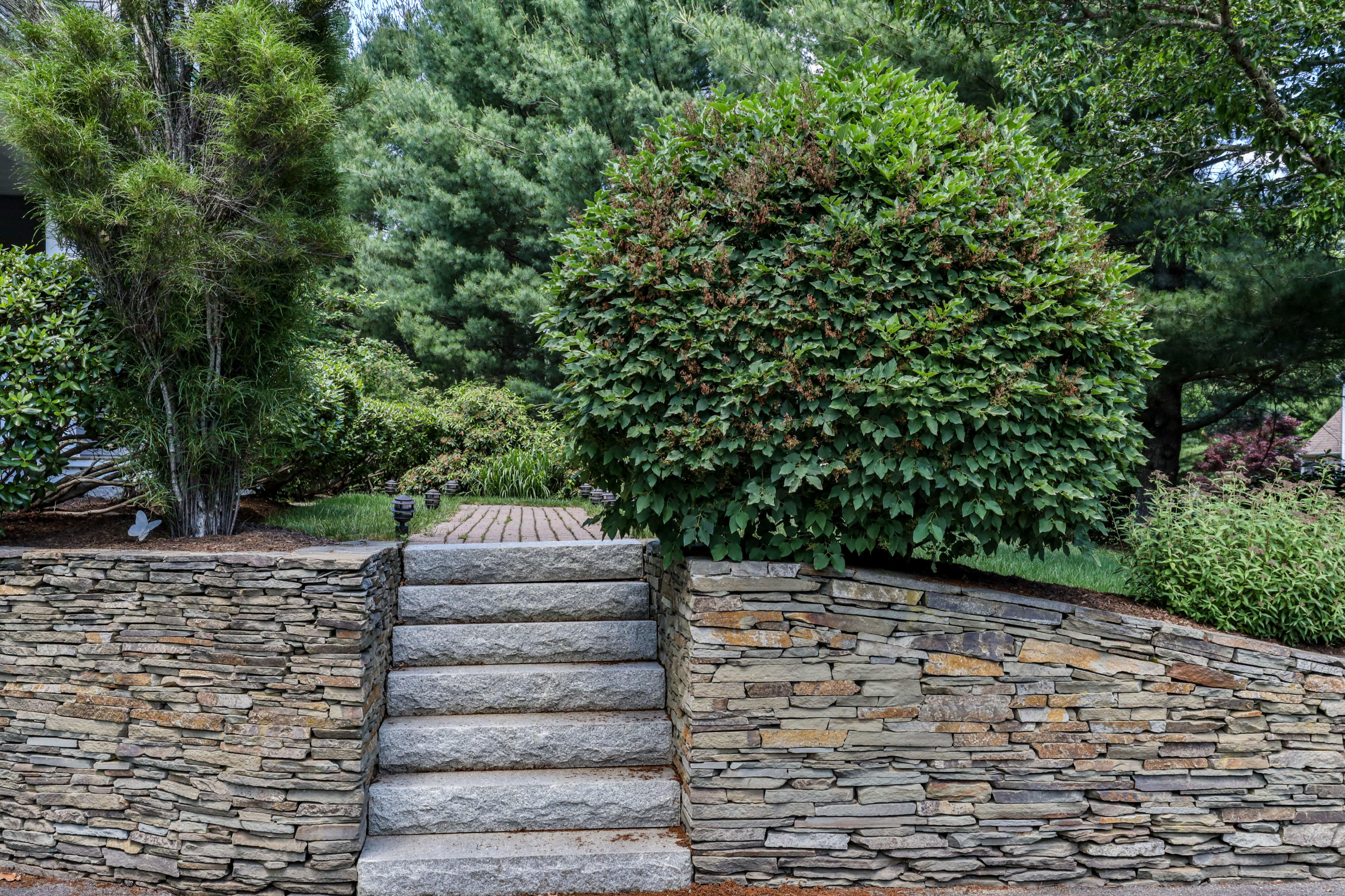 12 Maple Street Mashpee, MA 02649 - Photo 60 of 67 Extensive Landscape