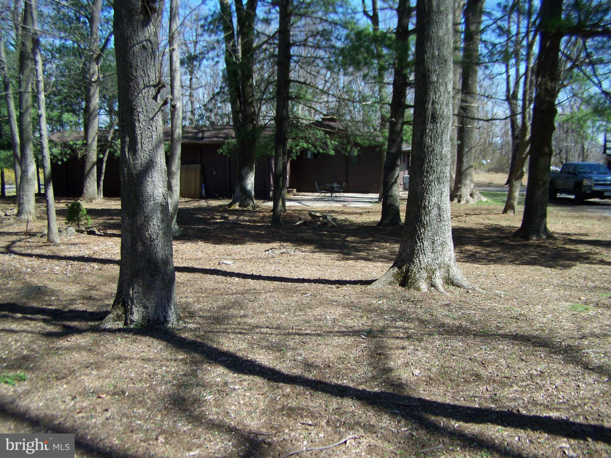 281 Chester Gap Road Chester Gap, VA 22623 - Photo 23 of 29 Exterior (Rear)