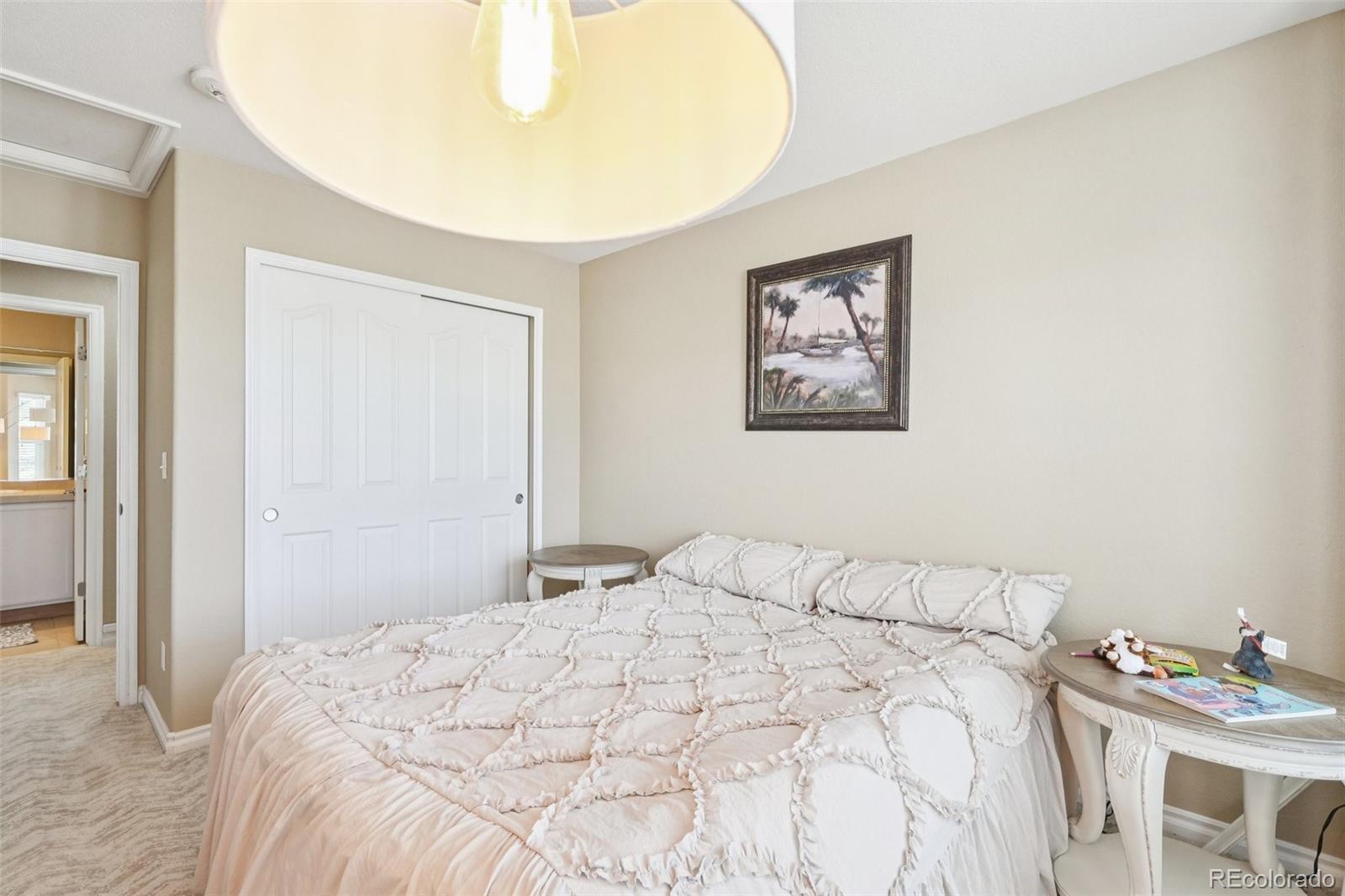10916 Towerbridge Road Highlands Ranch, CO 80130 - Photo 24 of 46 Gallery Image 24