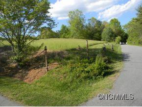 0 Grogan Road Canton, NC 28716 - Photo 3 of 8 a view of a park