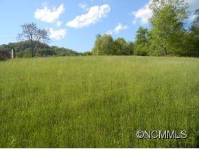 0 Grogan Road Canton, NC 28716 - Photo 4 of 8