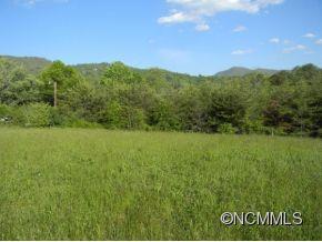 0 Grogan Road Canton, NC 28716 - Photo 6 of 8 a view of a field