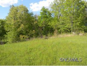 0 Grogan Road Canton, NC 28716 - Photo 7 of 8 a view of residential space with yard