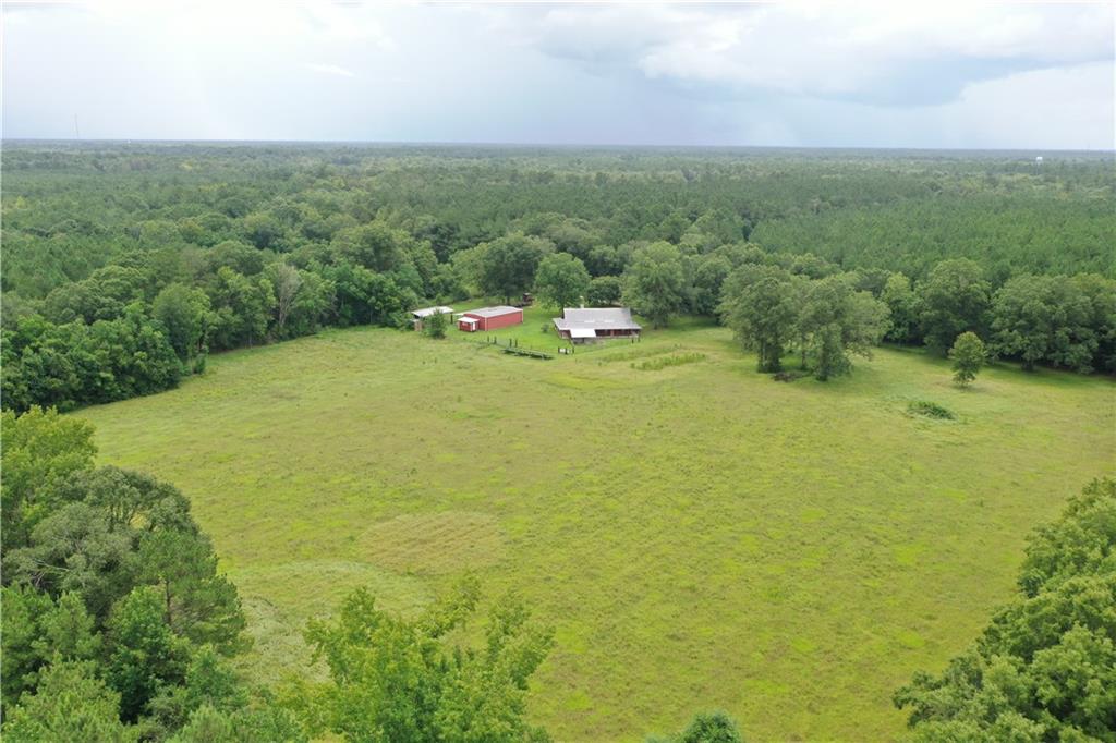 29000 Stein Road Bogalusa, LA 70427 - Photo 11 of 39