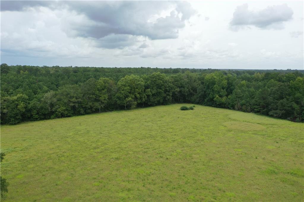 29000 Stein Road Bogalusa, LA 70427 - Photo 30 of 39