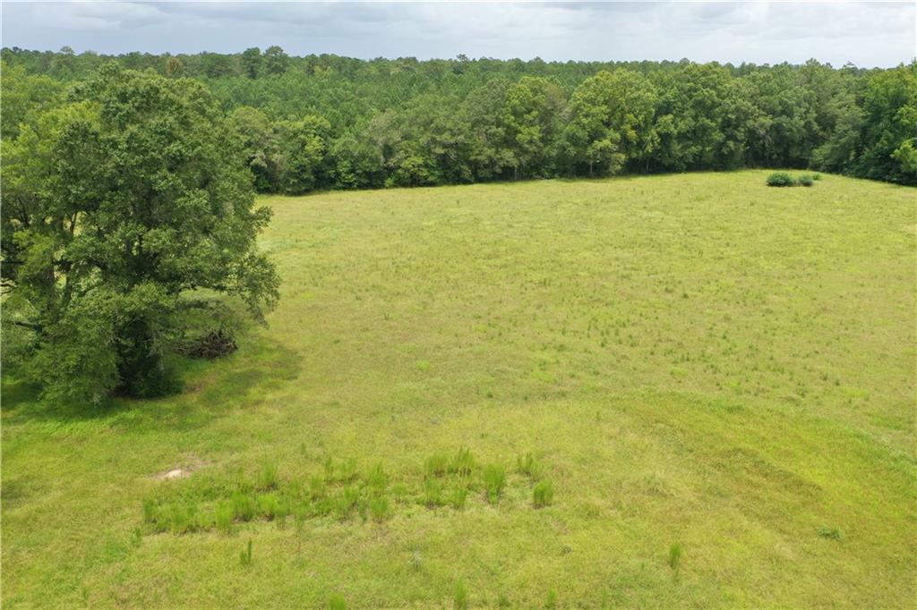 29000 Stein Road Bogalusa, LA 70427 - Photo 35 of 39