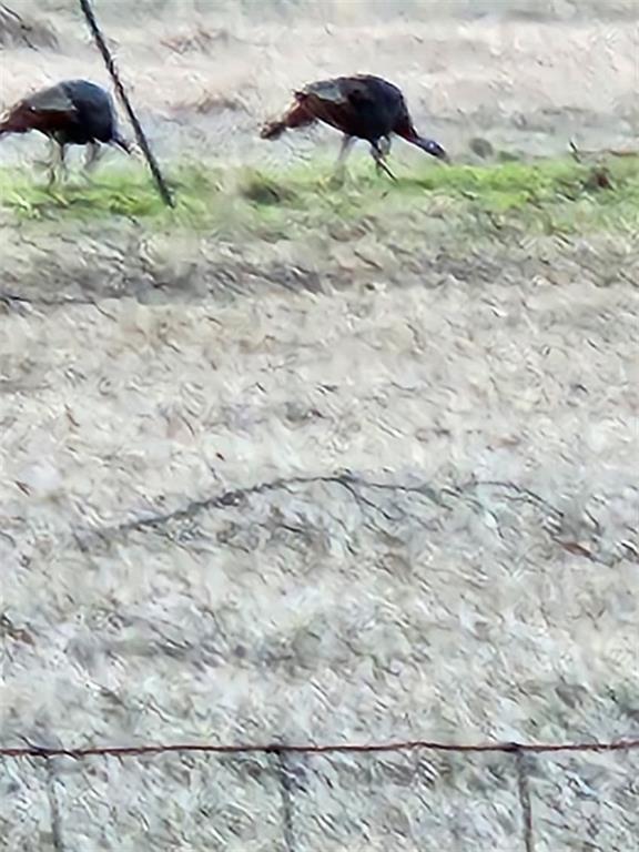 29000 Stein Road Bogalusa, LA 70427 - Photo 38 of 39