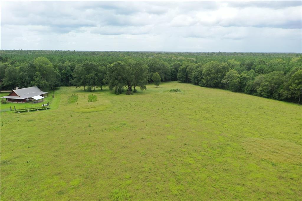 29000 Stein Road Bogalusa, LA 70427 - Photo 7 of 39