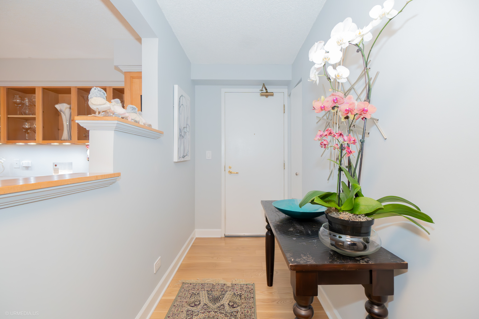 1250 North Dearborn Street, Unit 5B Chicago, IL 60610 - Photo 4 of 50