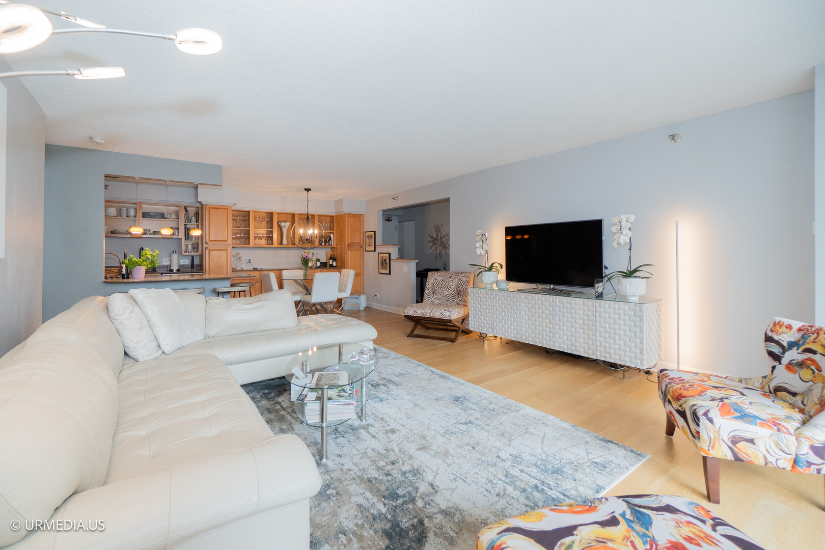 1250 North Dearborn Street, Unit 5B Chicago, IL 60610 - Photo 9 of 50