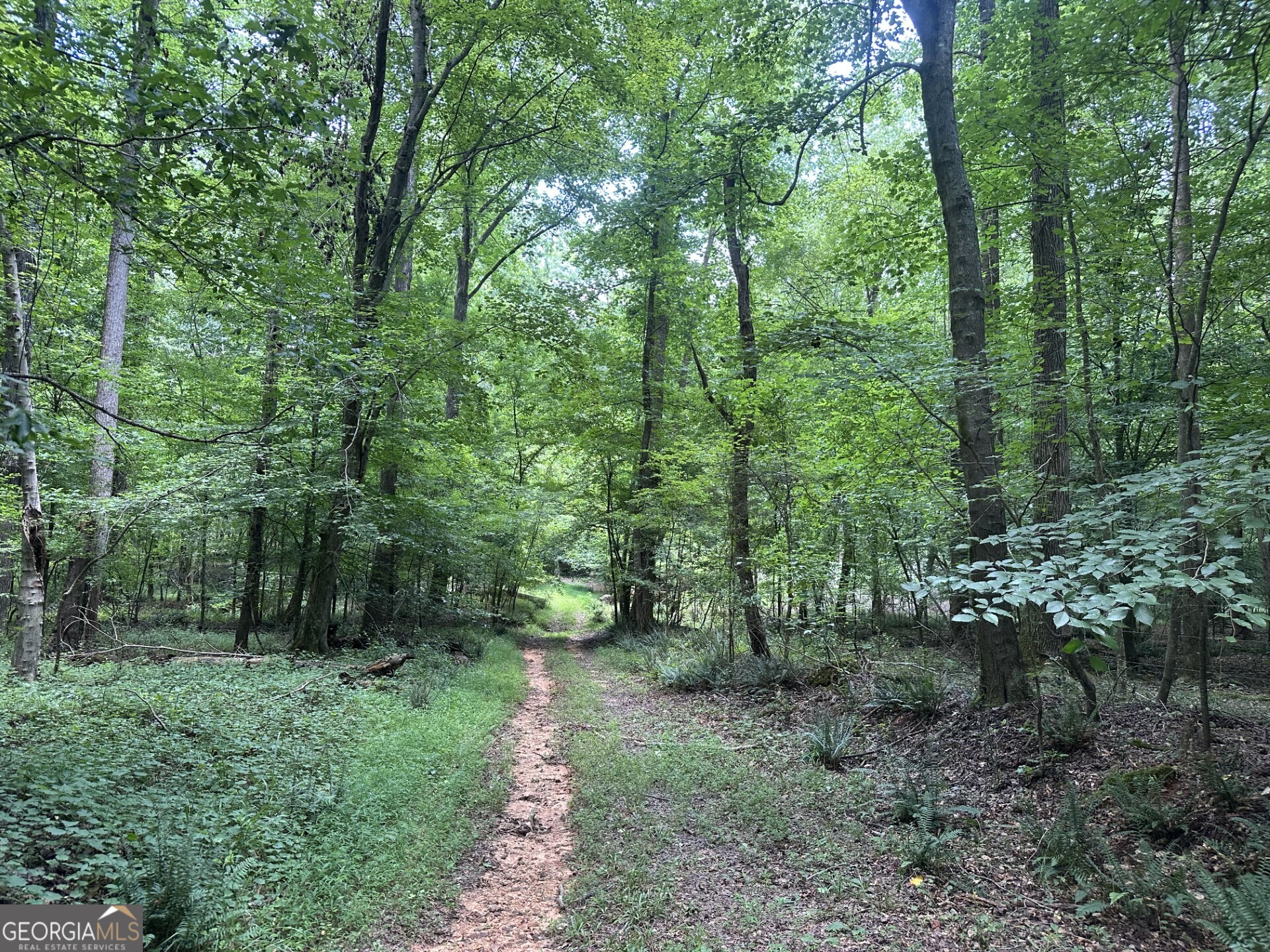 360 Happy Hollow Road Comer, GA 30629 - Photo 3 of 31