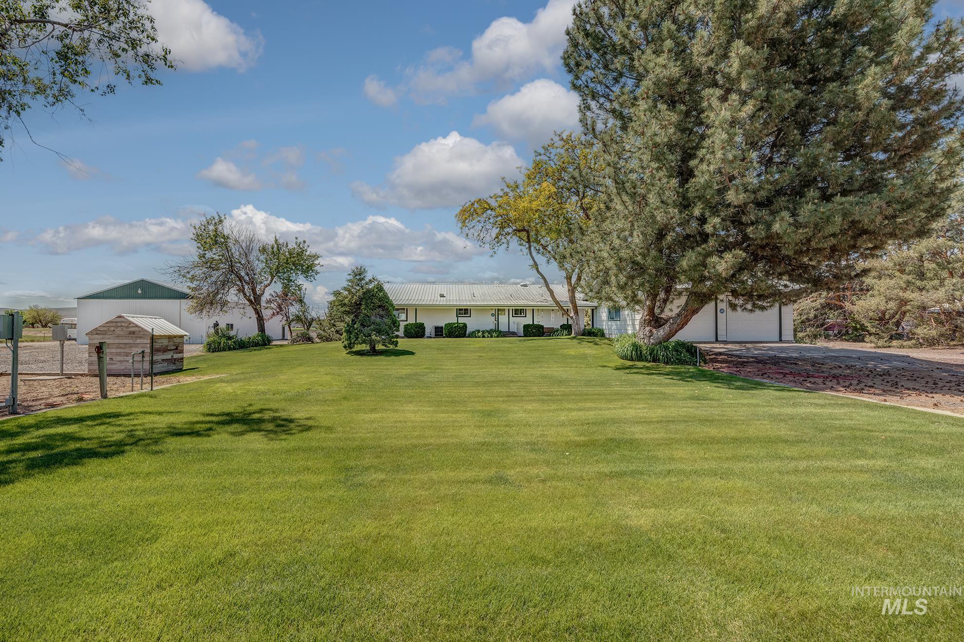 748 Pringle Road Weiser, ID 83672 - Photo 37 of 47 Expansive green lawn with mature trees and a long driveway leading to the main residence