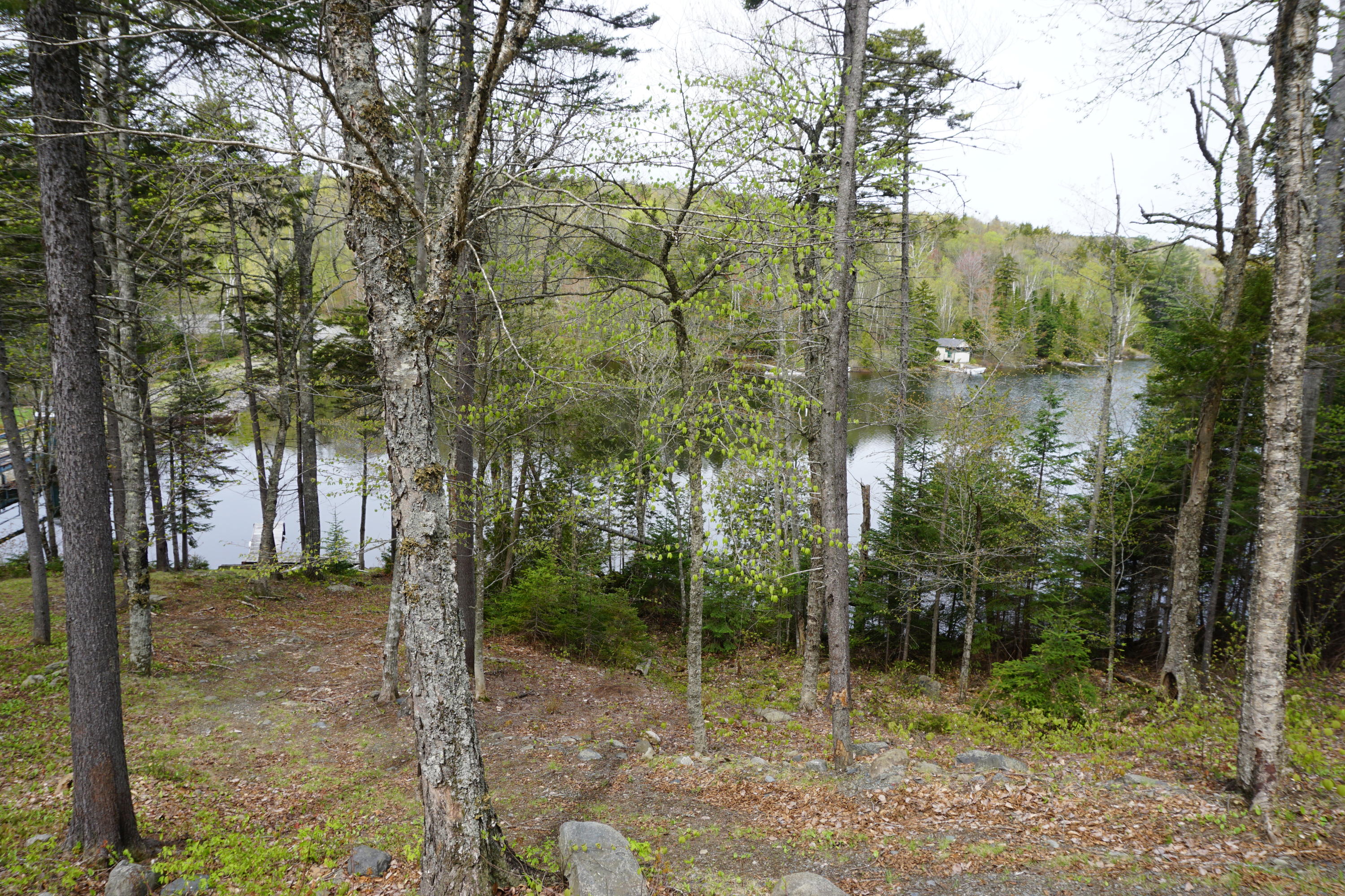 6 Kinney Road Greenville, ME 04441 - Photo 29 of 33 DSC00615 - Copy