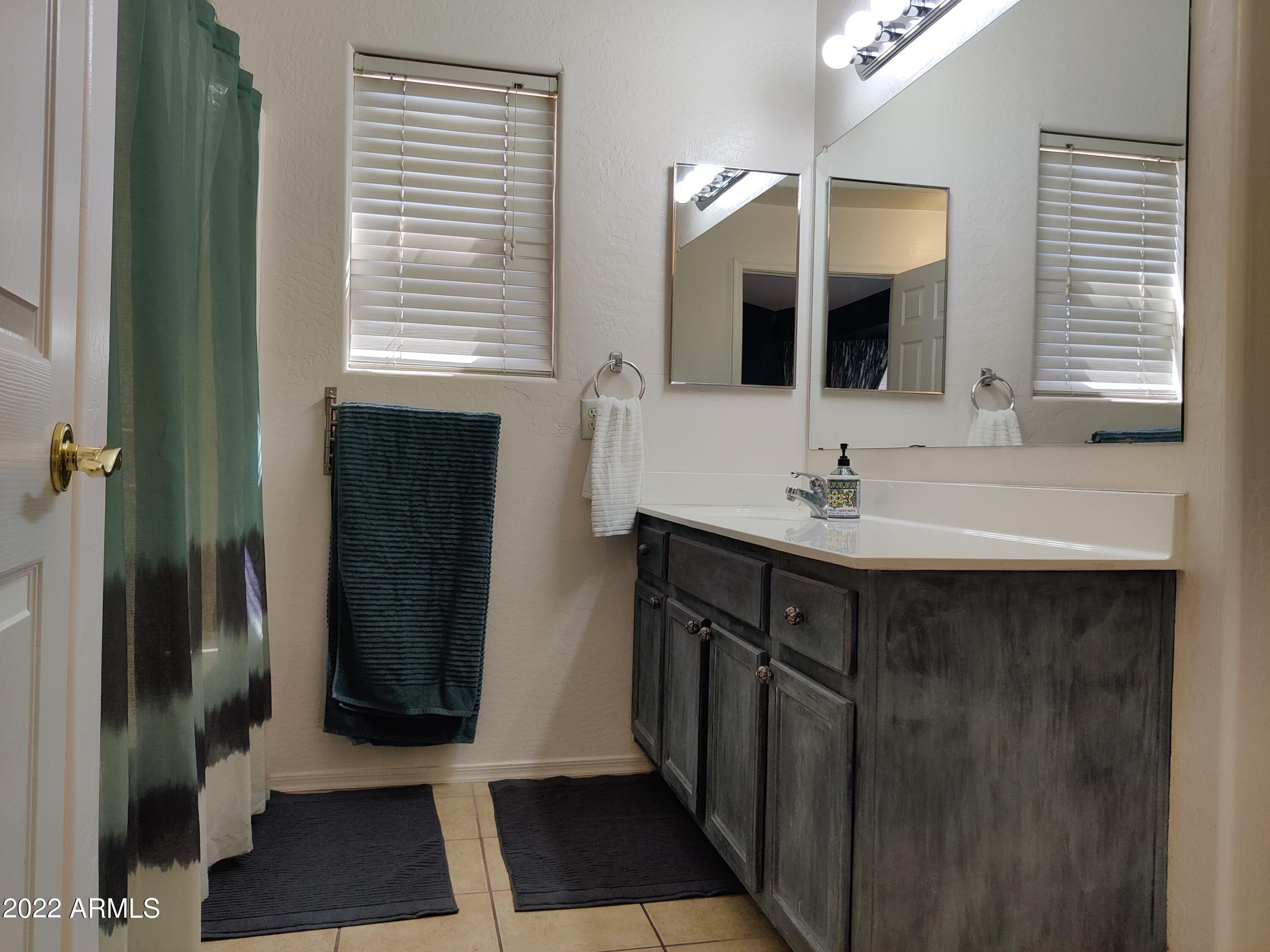 3242 East Bonanza Road Gilbert, AZ 85297 - Photo 13 of 23 Master Bath