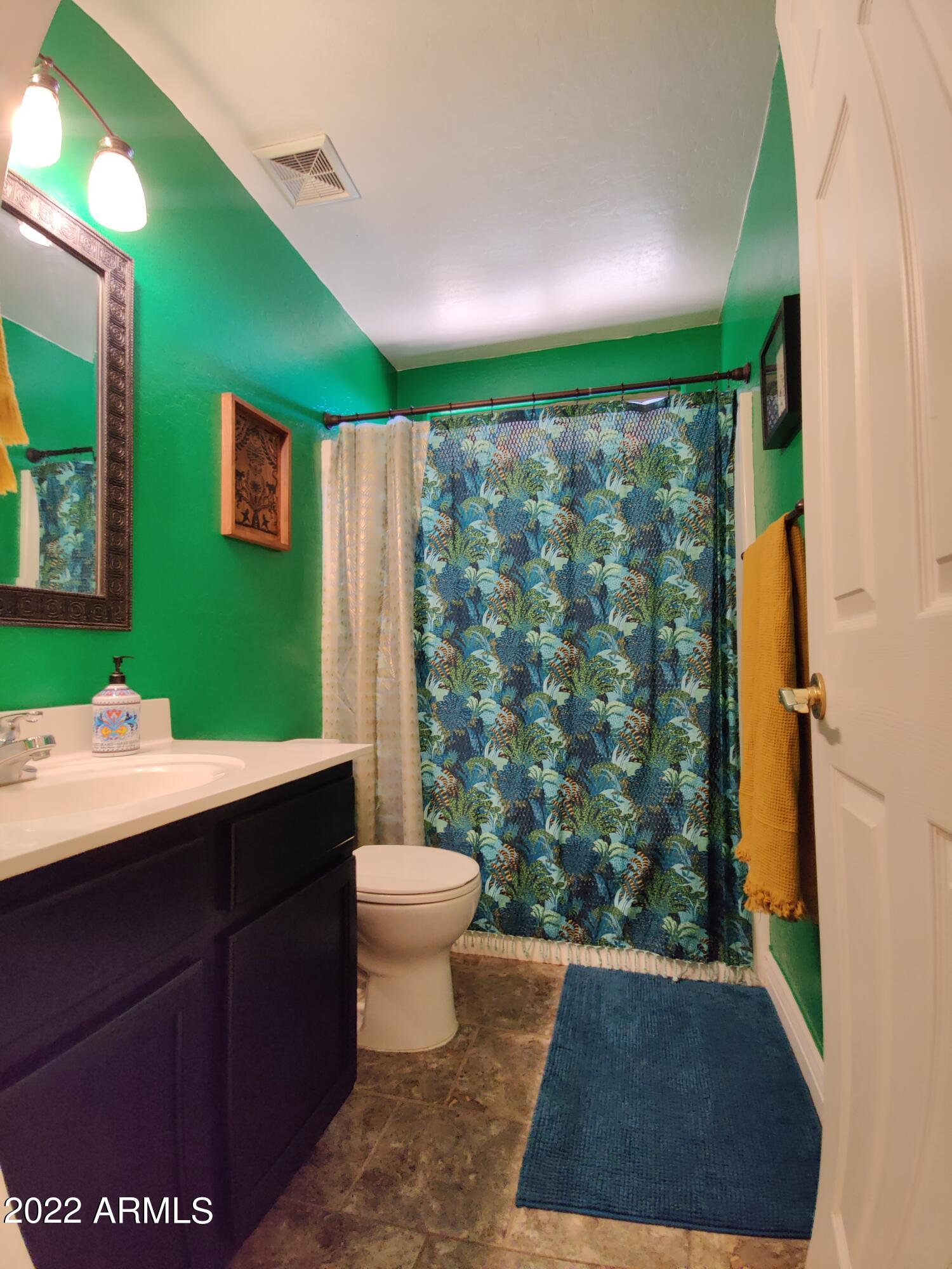 3242 East Bonanza Road Gilbert, AZ 85297 - Photo 17 of 23 Hall Bathroom