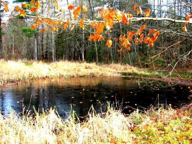 48 Gibson Road Clinton, ME 04927 - Photo 8 of 26 View. Lovely little farm pond just...