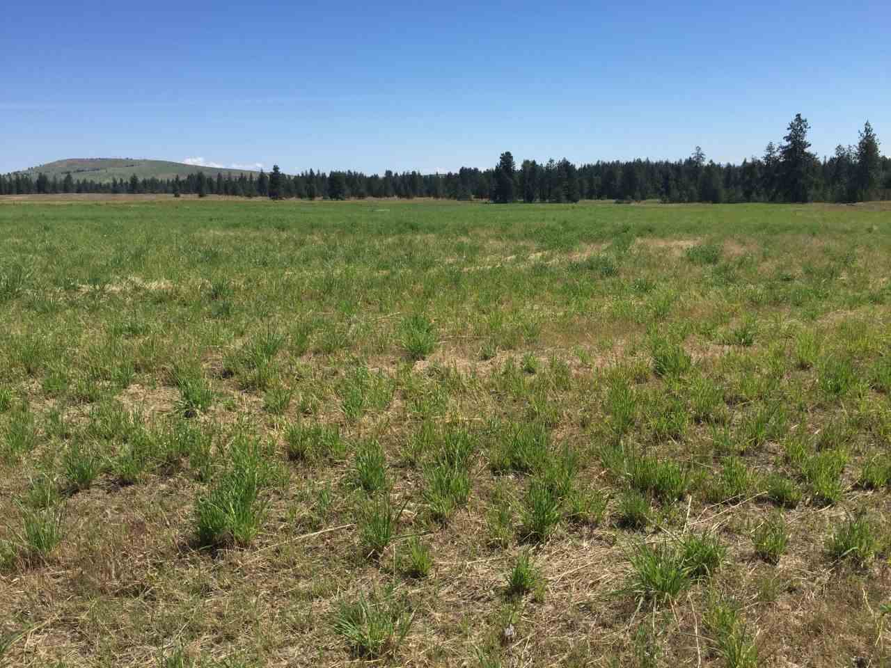 25-xxx West Tucker Prairie Road Cheney, WA 99004 - Photo 1 of 2