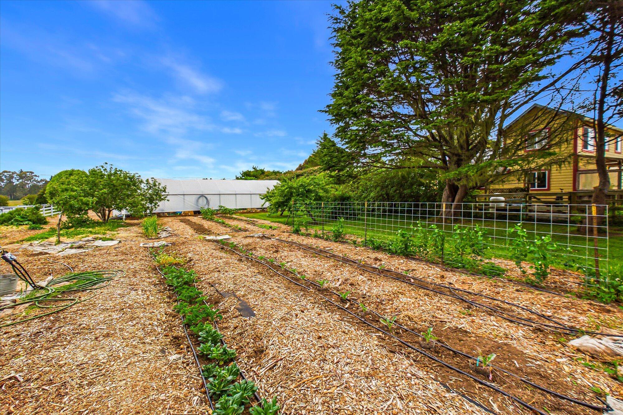 1300 Clam Beach Road McKinleyville, CA 95519 - Photo 103 of 116