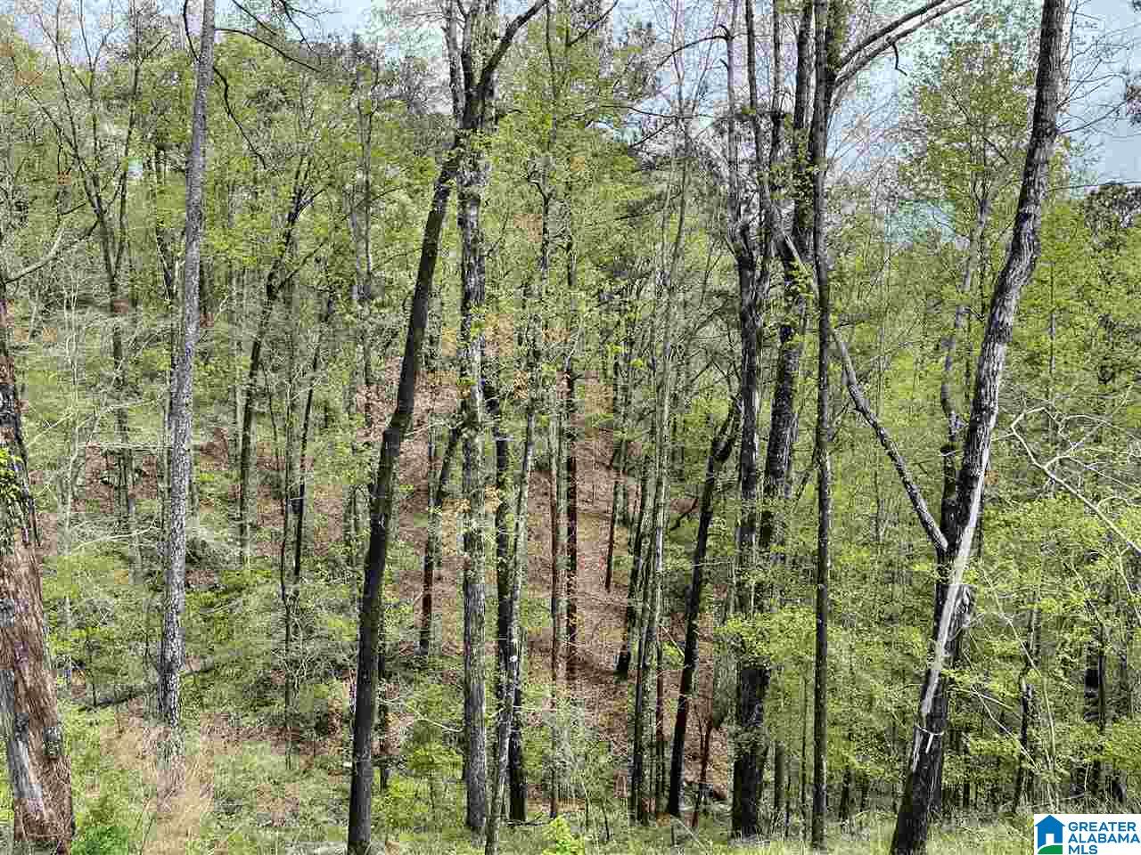 Helen Ridge Drive, Unit 49 Birmingham, AL 35216 - Photo 1 of 1